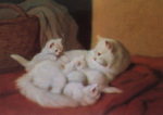 Postkarte Katzenmotiv